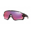 Oakley 9290/20