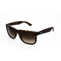 Ray Ban 4165 710/13