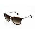 Ray Ban Erika 4171 865/13